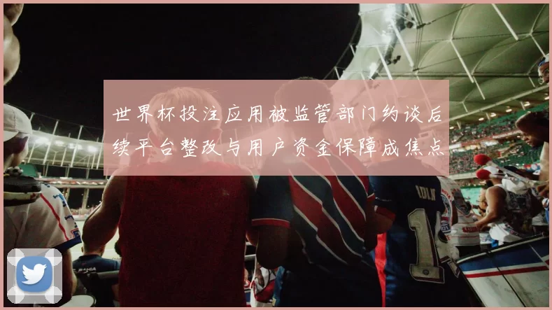 世界杯投注应用被监管部门约谈后续平台整改与用户资金保障成焦点