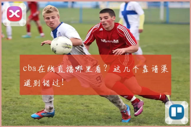 cba在线直播哪里看？这几个靠谱渠道别错过！