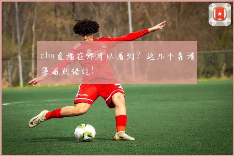 cba直播在哪可以看到？这几个靠谱渠道别错过！