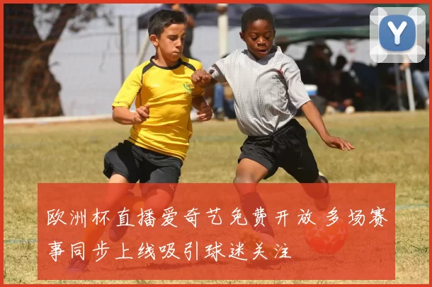 欧洲杯直播爱奇艺免费开放 多场赛事同步上线吸引球迷关注