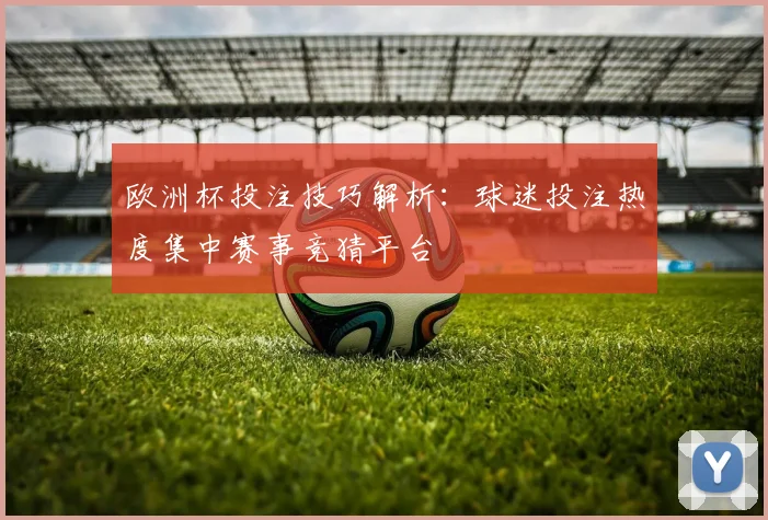 欧洲杯投注技巧解析：球迷投注热度集中赛事竞猜平台