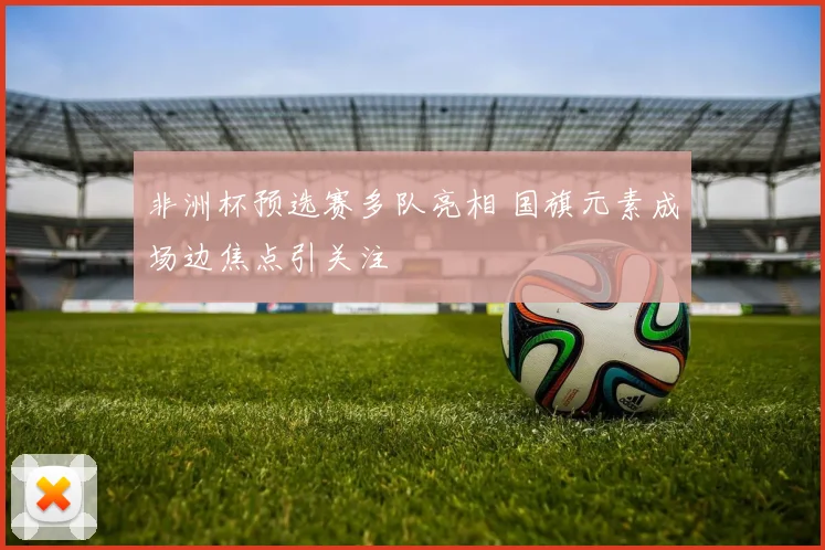 非洲杯预选赛多队亮相 国旗元素成场边焦点引关注