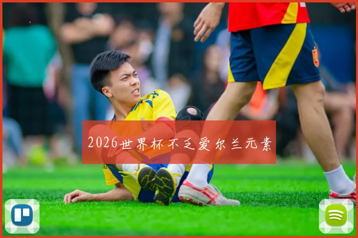 2026世界杯不乏爱尔兰元素