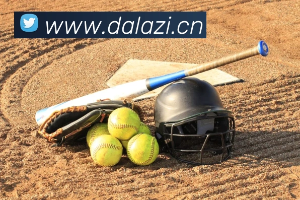 数据分析功能
